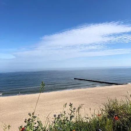 Superior W Rewalu * 레왈