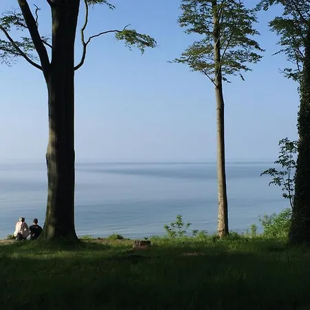 Superior W Rewalu 아파트