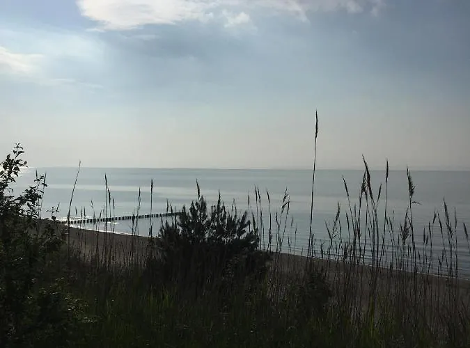 Superior W Rewalu Rewal